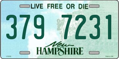 NH license plate 3797231