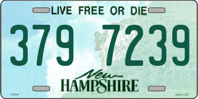 NH license plate 3797239