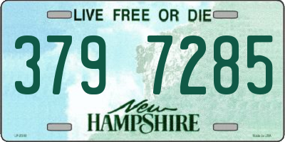 NH license plate 3797285