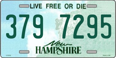 NH license plate 3797295
