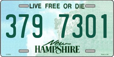 NH license plate 3797301