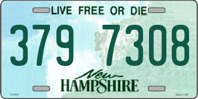 NH license plate 3797308