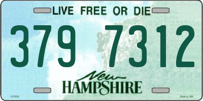 NH license plate 3797312