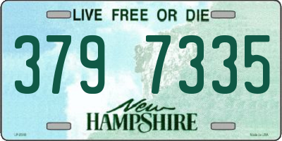 NH license plate 3797335