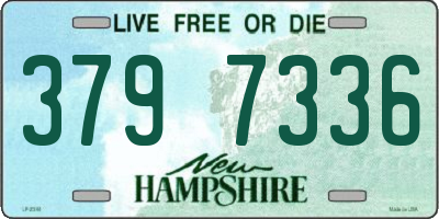 NH license plate 3797336