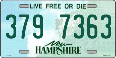 NH license plate 3797363