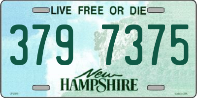 NH license plate 3797375