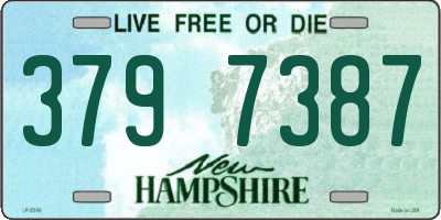 NH license plate 3797387