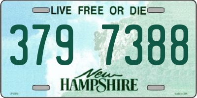 NH license plate 3797388