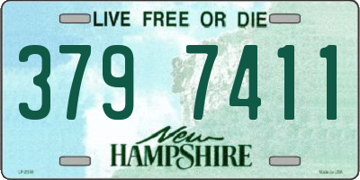 NH license plate 3797411