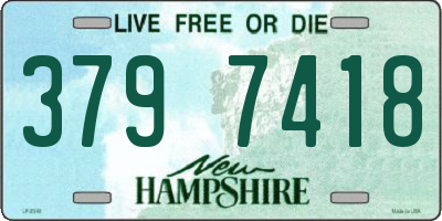 NH license plate 3797418
