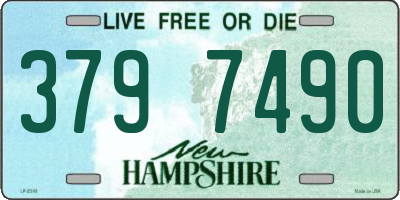 NH license plate 3797490