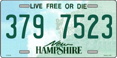 NH license plate 3797523