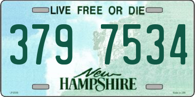 NH license plate 3797534