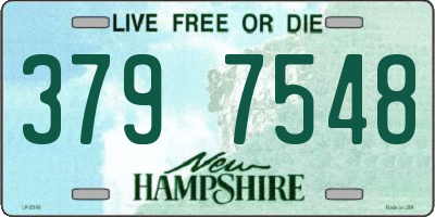 NH license plate 3797548