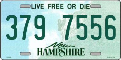 NH license plate 3797556