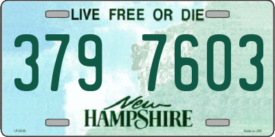 NH license plate 3797603
