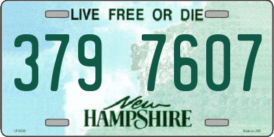 NH license plate 3797607