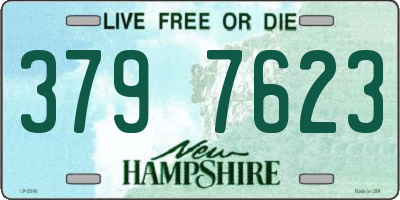 NH license plate 3797623