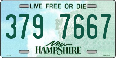 NH license plate 3797667