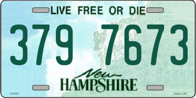 NH license plate 3797673