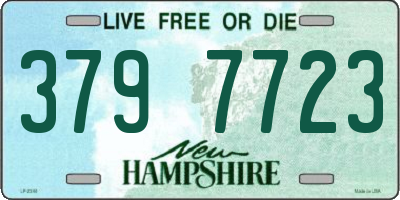NH license plate 3797723