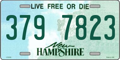 NH license plate 3797823