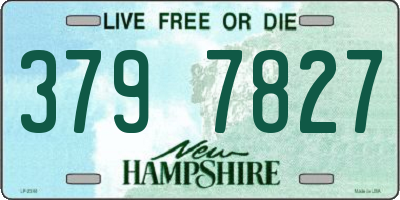 NH license plate 3797827