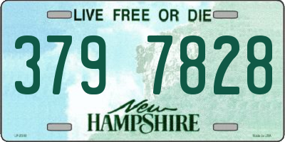 NH license plate 3797828
