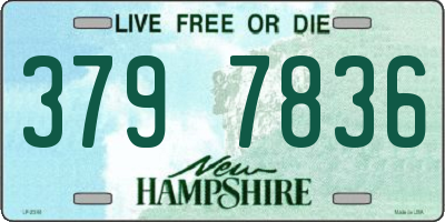 NH license plate 3797836