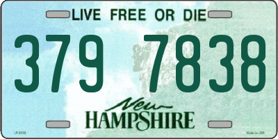 NH license plate 3797838