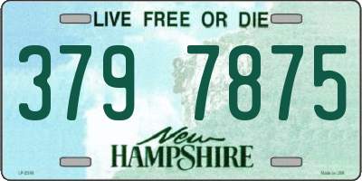 NH license plate 3797875