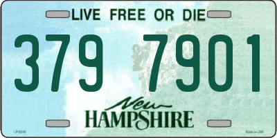 NH license plate 3797901