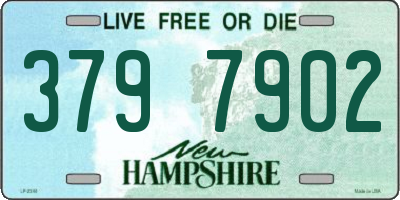 NH license plate 3797902