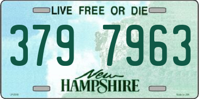 NH license plate 3797963