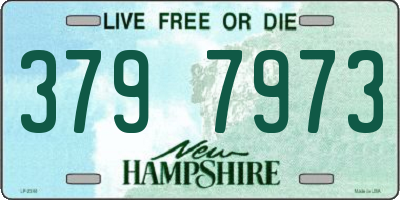 NH license plate 3797973