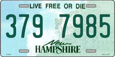 NH license plate 3797985