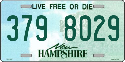 NH license plate 3798029