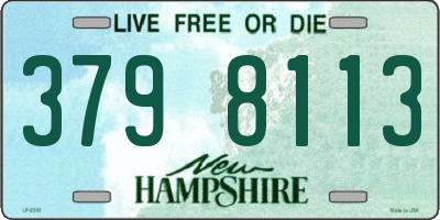 NH license plate 3798113