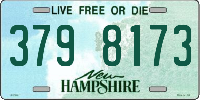 NH license plate 3798173