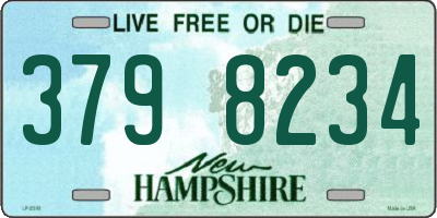 NH license plate 3798234