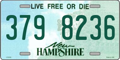 NH license plate 3798236
