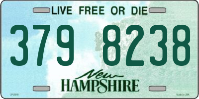 NH license plate 3798238