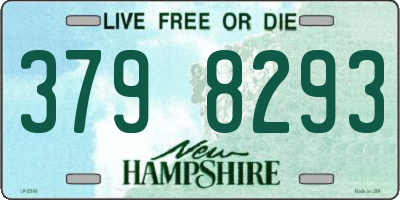 NH license plate 3798293