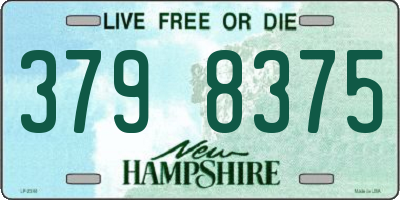 NH license plate 3798375