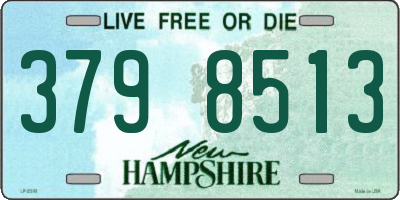 NH license plate 3798513