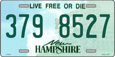 NH license plate 3798527