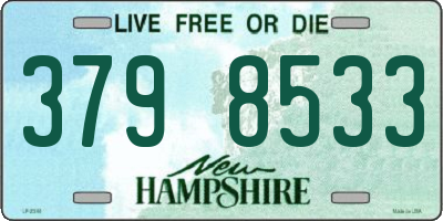 NH license plate 3798533