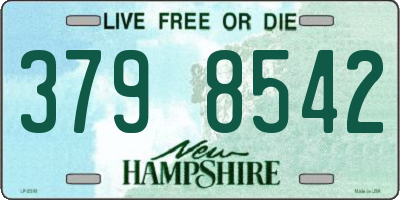 NH license plate 3798542