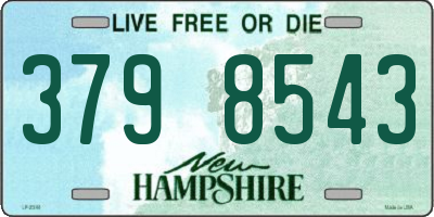 NH license plate 3798543